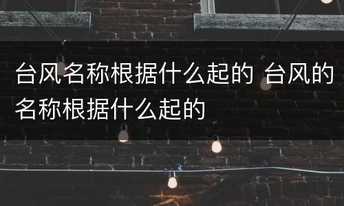 台风名称根据什么起的 台风的名称根据什么起的