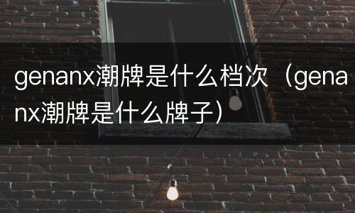 genanx潮牌是什么档次（genanx潮牌是什么牌子）