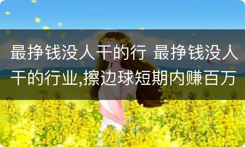 最挣钱没人干的行 最挣钱没人干的行业,擦边球短期内赚百万
