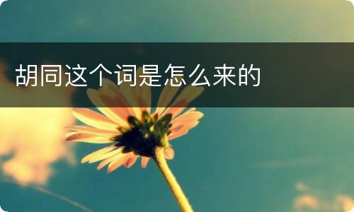 胡同这个词是怎么来的