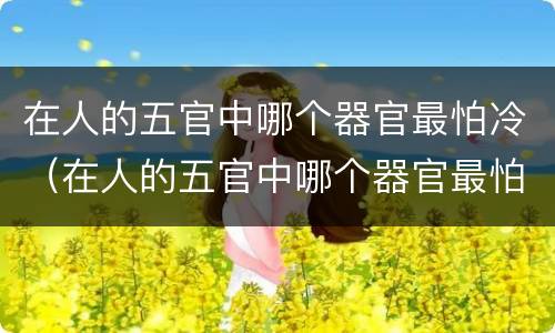 在人的五官中哪个器官最怕冷（在人的五官中哪个器官最怕冷呢）