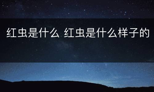 红虫是什么 红虫是什么样子的