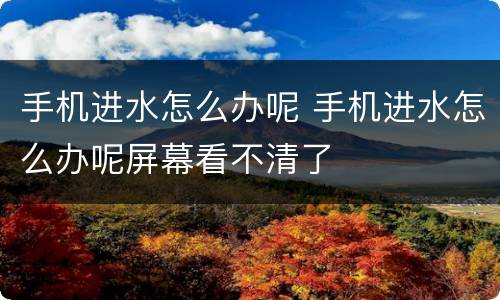 手机进水怎么办呢 手机进水怎么办呢屏幕看不清了