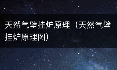 天然气壁挂炉原理（天然气壁挂炉原理图）