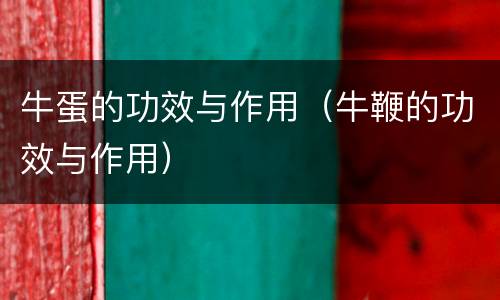 牛蛋的功效与作用（牛鞭的功效与作用）