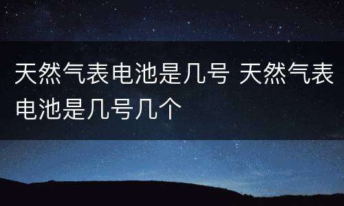 天然气表电池是几号 天然气表电池是几号几个