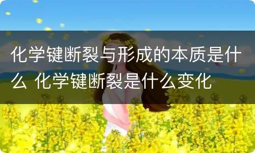 化学键断裂与形成的本质是什么 化学键断裂是什么变化