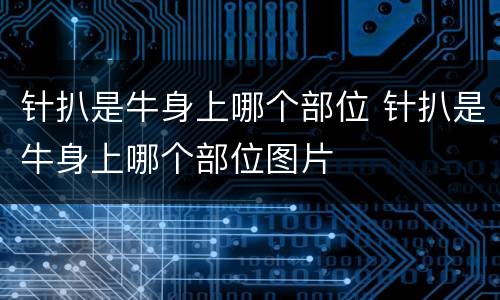 针扒是牛身上哪个部位 针扒是牛身上哪个部位图片