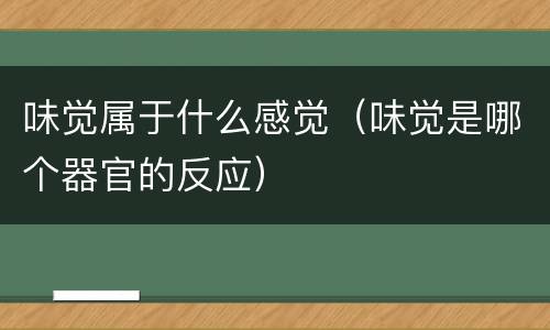 味觉属于什么感觉（味觉是哪个器官的反应）