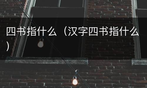 四书指什么（汉字四书指什么）
