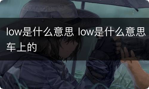 low是什么意思 low是什么意思车上的