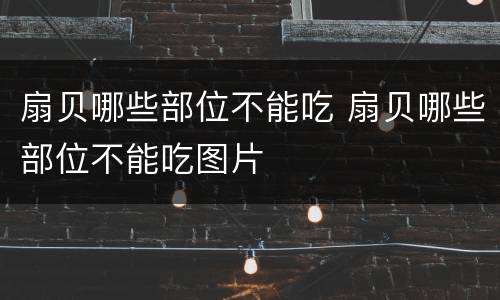 扇贝哪些部位不能吃 扇贝哪些部位不能吃图片