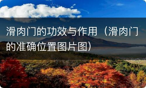滑肉门的功效与作用（滑肉门的准确位置图片图）