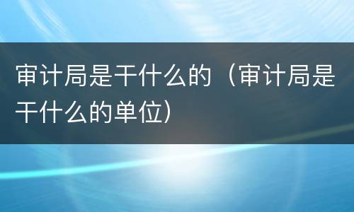 审计局是干什么的（审计局是干什么的单位）