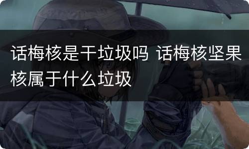 话梅核是干垃圾吗 话梅核坚果核属于什么垃圾