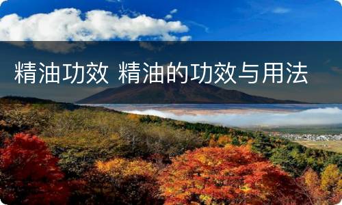 精油功效 精油的功效与用法