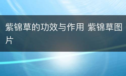 紫锦草的功效与作用 紫锦草图片
