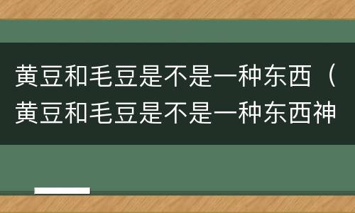 黄豆和毛豆是不是一种东西（黄豆和毛豆是不是一种东西神回复）