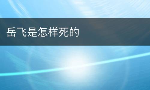 岳飞是怎样死的