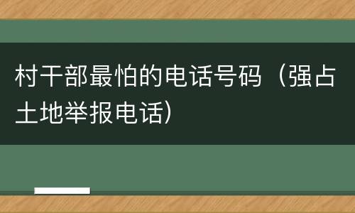 村干部最怕的电话号码（强占土地举报电话）