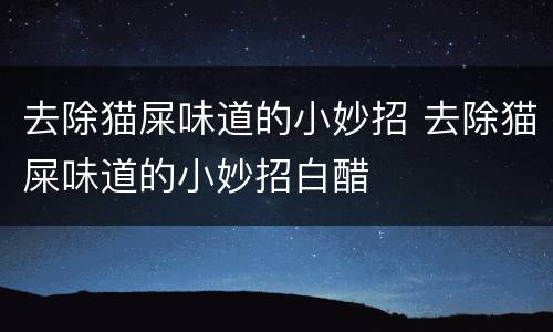 去除猫屎味道的小妙招 去除猫屎味道的小妙招白醋