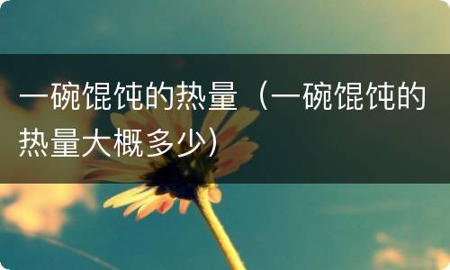 一碗馄饨的热量（一碗馄饨的热量大概多少）