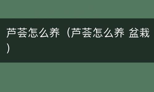 芦荟怎么养（芦荟怎么养 盆栽）