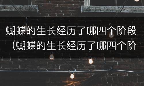蝴蝶的生长经历了哪四个阶段（蝴蝶的生长经历了哪四个阶段简笔画）
