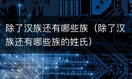 除了汉族还有哪些族（除了汉族还有哪些族的姓氏）