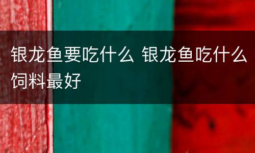 银龙鱼要吃什么 银龙鱼吃什么饲料最好