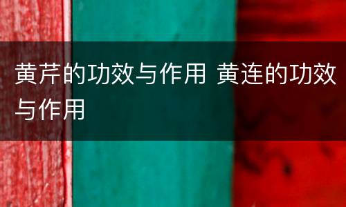 黄芹的功效与作用 黄连的功效与作用