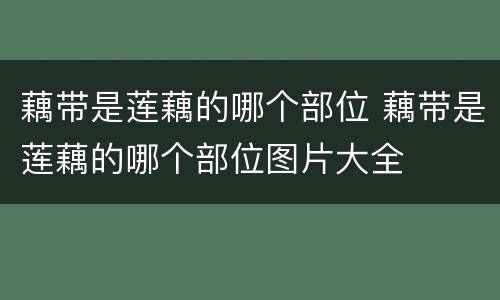 藕带是莲藕的哪个部位 藕带是莲藕的哪个部位图片大全