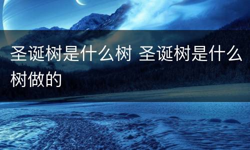圣诞树是什么树 圣诞树是什么树做的