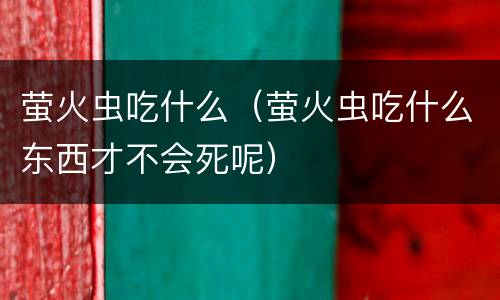 萤火虫吃什么（萤火虫吃什么东西才不会死呢）