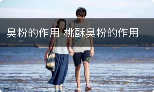 臭粉的作用 桃酥臭粉的作用