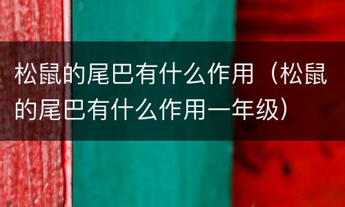 松鼠的尾巴有什么作用（松鼠的尾巴有什么作用一年级）