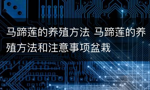 马蹄莲的养殖方法 马蹄莲的养殖方法和注意事项盆栽