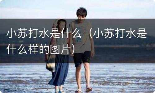 小苏打水是什么（小苏打水是什么样的图片）