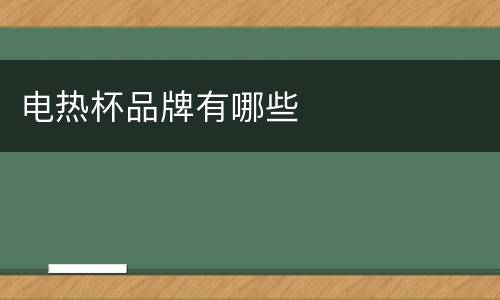 电热杯品牌有哪些