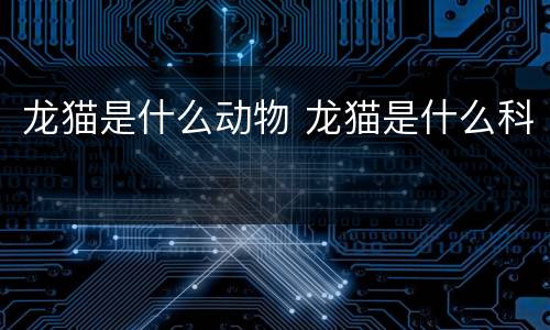 龙猫是什么动物 龙猫是什么科