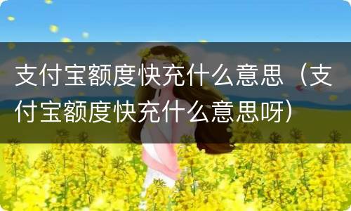 支付宝额度快充什么意思（支付宝额度快充什么意思呀）