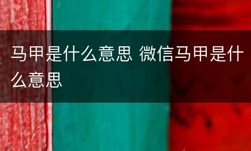 马甲是什么意思 微信马甲是什么意思