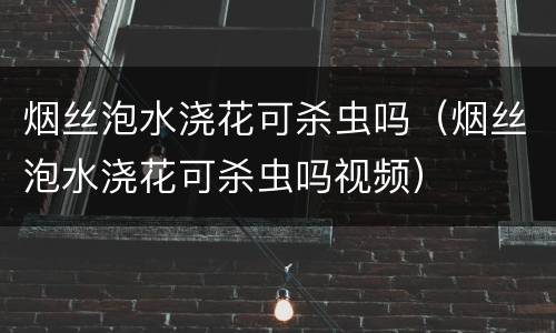 烟丝泡水浇花可杀虫吗（烟丝泡水浇花可杀虫吗视频）
