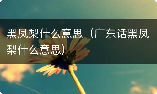 黑凤梨什么意思（广东话黑凤梨什么意思）
