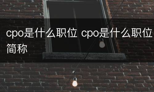 cpo是什么职位 cpo是什么职位简称