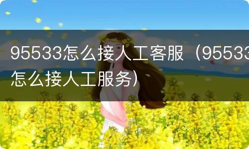 95533怎么接人工客服（95533怎么接人工服务）