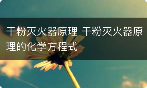 干粉灭火器原理 干粉灭火器原理的化学方程式