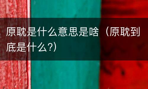 原耽是什么意思是啥（原耽到底是什么?）