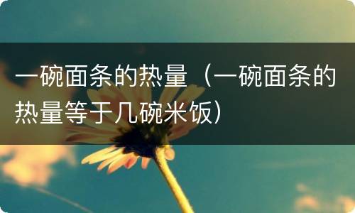 一碗面条的热量（一碗面条的热量等于几碗米饭）