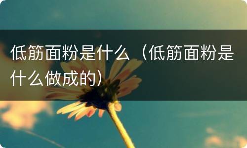 低筋面粉是什么（低筋面粉是什么做成的）